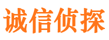 西峡商务调查